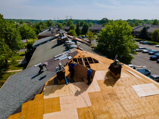 24/7 Emergency Metal Roofing experts in East Ellijay, GA